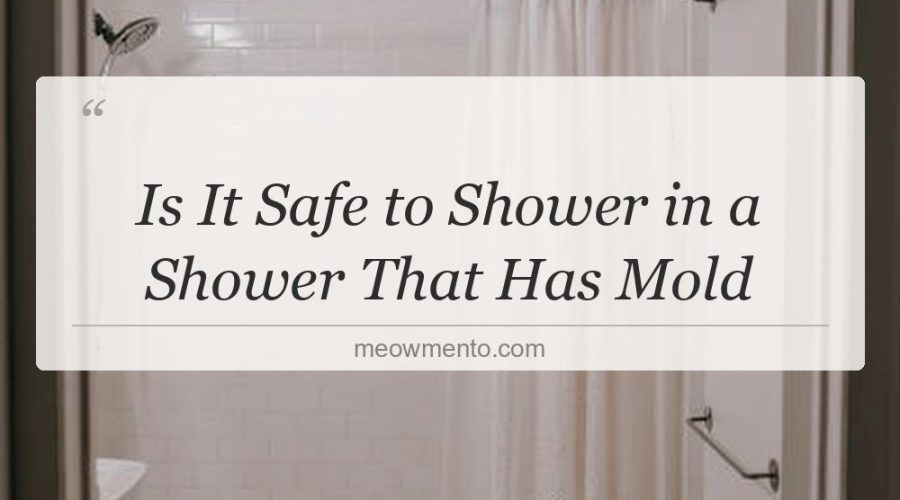 is it safe to shower in a shower that has mold