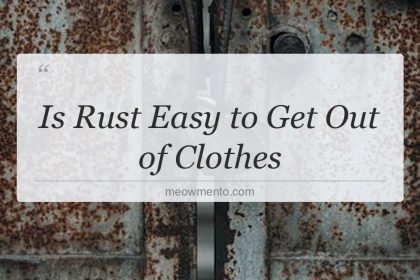 is rust easy to get out of clothes