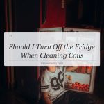 should i turn off the fridge when cleaning coils
