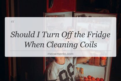 should i turn off the fridge when cleaning coils