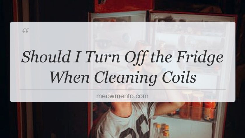should i turn off the fridge when cleaning coils