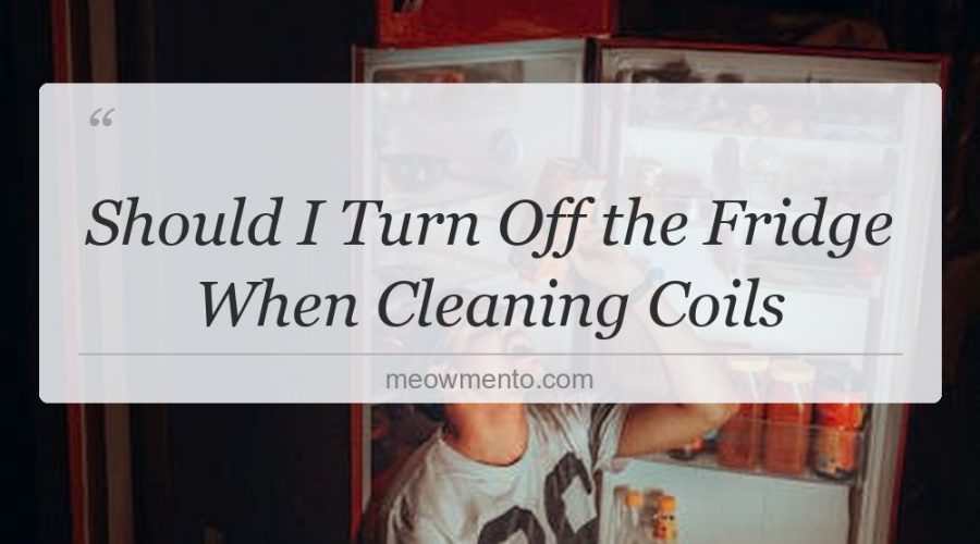 should i turn off the fridge when cleaning coils