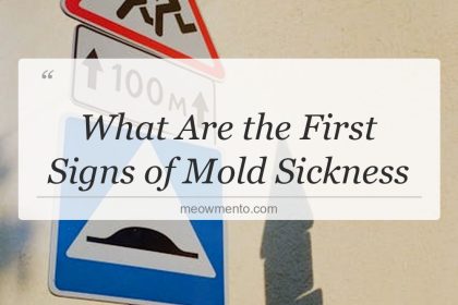 what are the first signs of mold sickness
