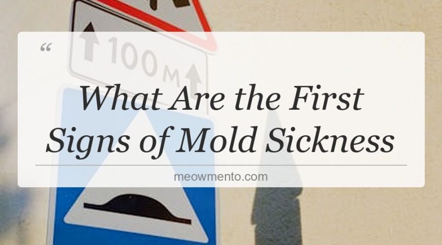 what are the first signs of mold sickness