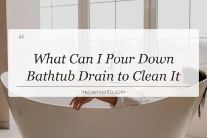 what can i pour down bathtub drain to clean it