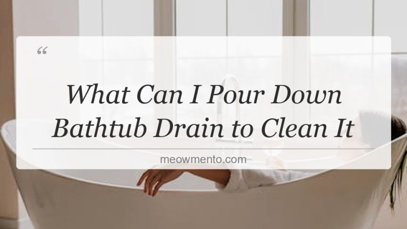 what can i pour down bathtub drain to clean it