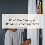 what can i spray on window screens to clean