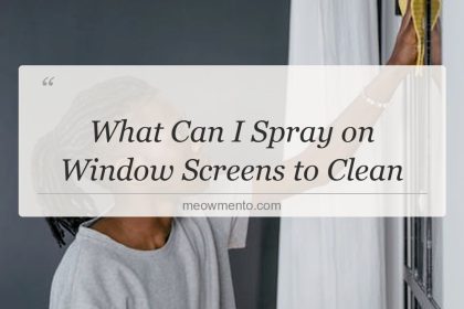 what can i spray on window screens to clean