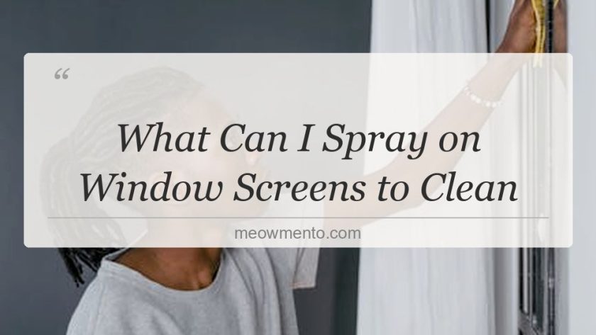 what can i spray on window screens to clean