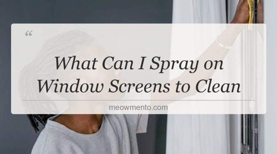 what can i spray on window screens to clean