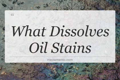 what dissolves oil stains