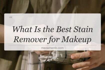 what is the best stain remover for makeup