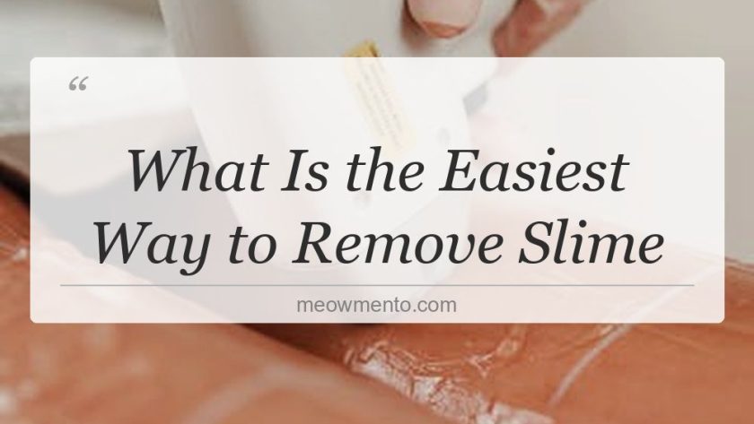 what is the easiest way to remove slime