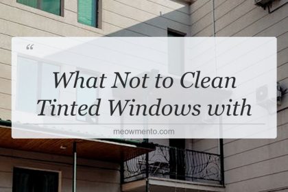 what not to clean tinted windows with