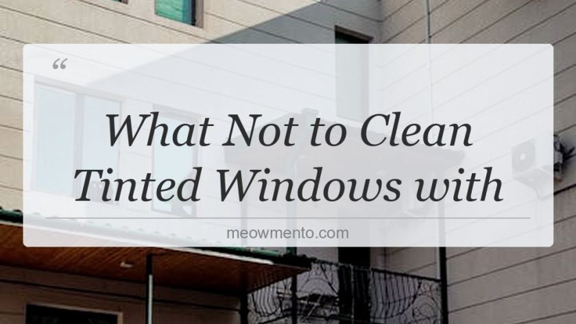what not to clean tinted windows with