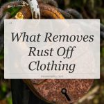 what removes rust off clothing