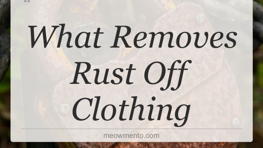 what removes rust off clothing