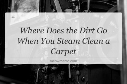 where does the dirt go when you steam clean a carpet