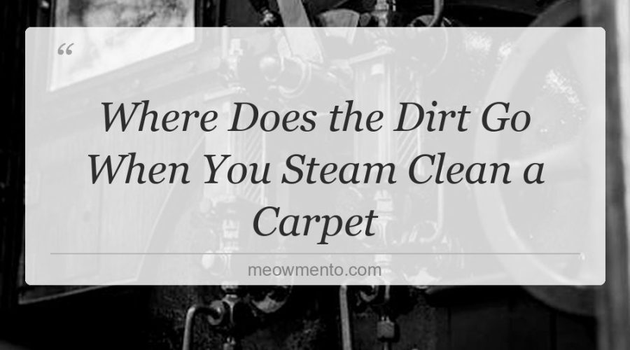 where does the dirt go when you steam clean a carpet