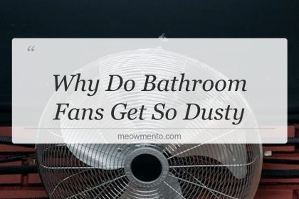 why do bathroom fans get so dusty